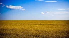 Географічний диктант Степова зона"