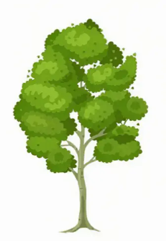 06003cz5-30b1-336x488.png