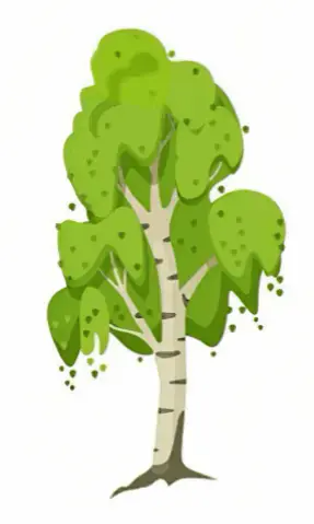 06003czl-5c6f-287x479.png