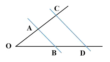 06003dnu-be18-373x211.png