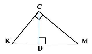 06003dsr-413e-318x186.png