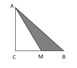 06003dzm-feb7-300x266.png