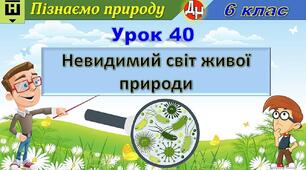 Відеоурок "Невидимий світ живої природи"