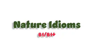 Nature idioms (B1/B1+)