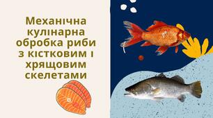 Механічна кулінарна обробка риби з кістковим і хрящовим скелетами