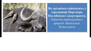 Презентація для 6 класу на тему "Як організми співіснують у середовищі. Партнери. Нахлібники і квартиранти.  Користь партнерства у природі. Мутуалізм. Коменсалізм"