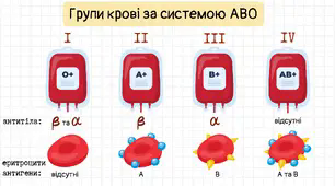 Ілюстрації на тему Групи крові.