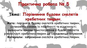 Практична робота №5 Порівняння будови скелетів хребетних тварин.