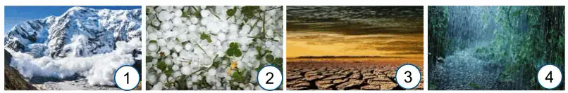06003k5w-0cf7-806x133.png