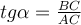 06003kge-ed21-81x25.png