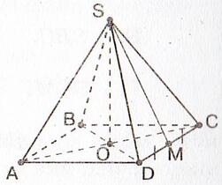 06003l5r-5466-251x210.jpg