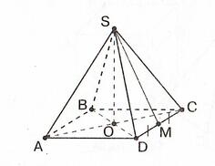 06003l62-d52d-236x182.jpg
