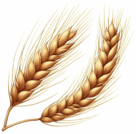 06003ltv-0a53-685x674.png
