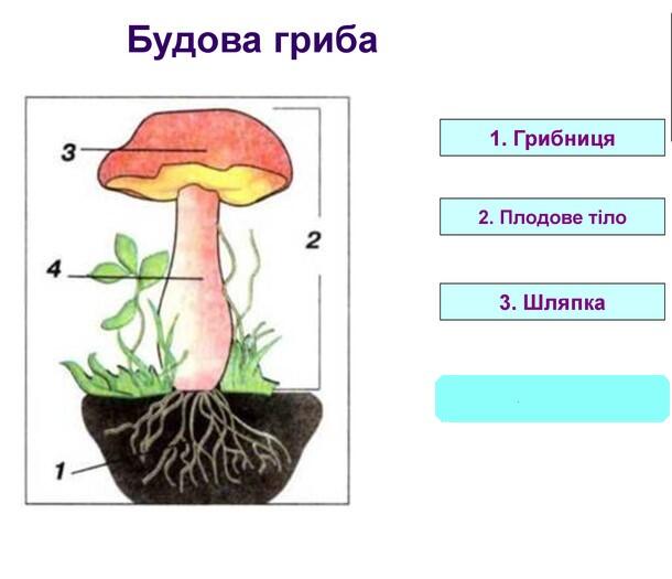 06003o24-4711-610x525.jpg