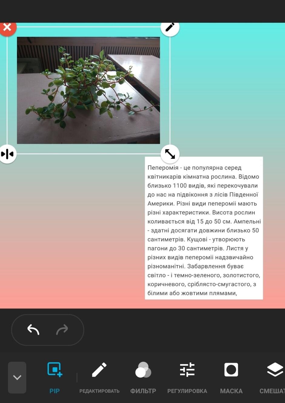 06003omz-6c0e-940x1330.jpg