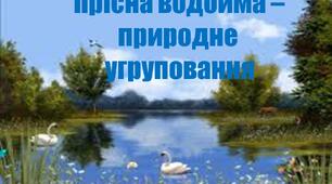 Презентація "Прісна водойма - природне угруповання"