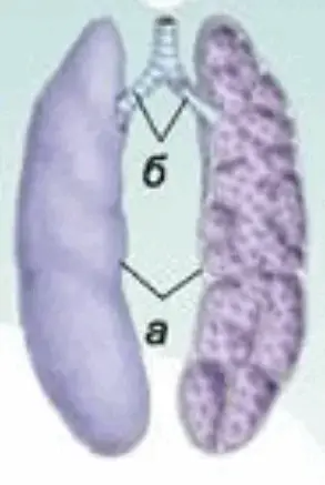 06003qdc-7f47-293x437.png