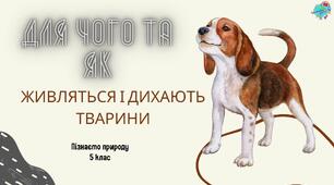Презентація "Для чого та як живляться і дихають тварини"