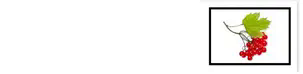06003rtd-26de-303x74.png