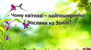 Чому квіткові - найпоширеніші рослини на Землі?