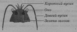 06003tjy-4473-249x105.jpg