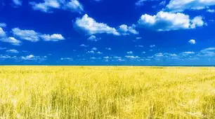 Комп’ютер як інструмент