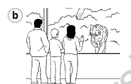 06003ty5-0594-262x168.png