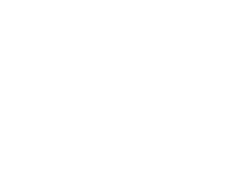 06003wk1-4cdf-940x779.png