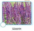 06003x1c-d5c3-146x136.jpg