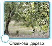 06003x26-38f7-176x155.jpg