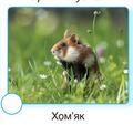 06003x33-cd0d-120x113.jpg