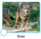 06003x5v-11d6-146x137.jpg