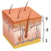 06003xig-a0ec-167x166.png