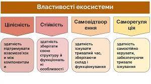 Властивості та характеристики екосистем. Типи зв’язків між популяціями різних видів в екосистемах.
