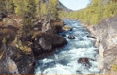 060045lg-97c0-241x154.png