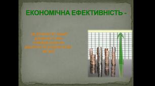 Економічна ефективність: розподіл, обмін та споживання.