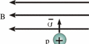 060047g1-a452-182x90.png