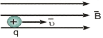 060047lk-bd0e-203x76.png