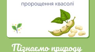 Робочий бланк для учнів 5 класу з Пізнаємо природу. Лабораторне дослідження "Висівання та пророщування квасолі"