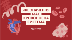Яке значення має кровоносна система