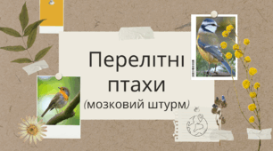 Презентація "Перелітні птахи". Мозковий штурм.