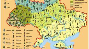 Рослинність. Різноманітність рослинності