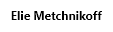 06004ema-1ead-204x58.png