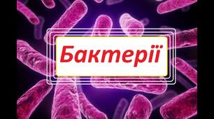 Тест з теми "Бактерії"