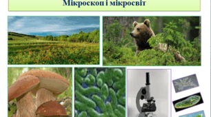 Вивчаємо живу природу Землі. Мікроскоп і мікросвіт.