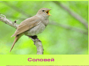 06004h7i-bd3f-292x217.png
