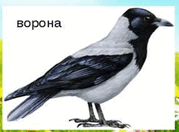 06004h7k-cf68-292x215.png