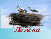 06004h7x-dda1-294x222.png