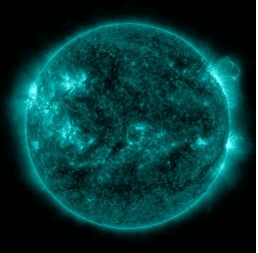 06004i1f-2034-258x253.png