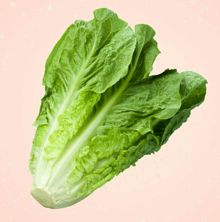 06004k1p-690c-759x767.png